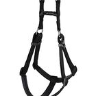 Animalis - Harnais Basic Confort T4 40mm et 96/120cm pour Chien - Noir image number null