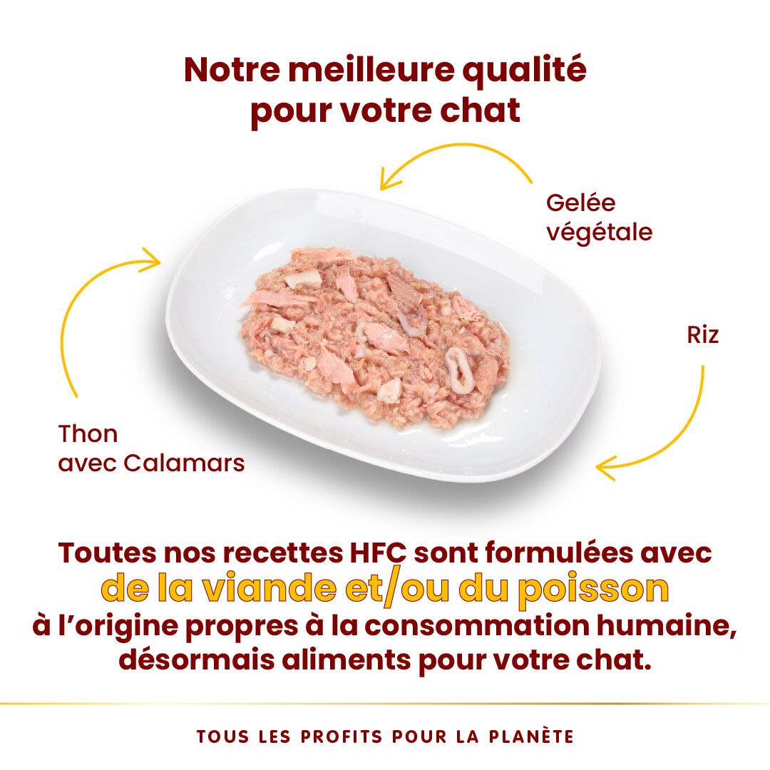 Almo Nature - P&acirc;t&eacute;e Hfc Jelly Thon Avec Calamars - 70g Image num&eacute;ro 4