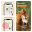 Weenect - Traceur GPS L/XL Edition 2023 pour Chiens - Blanc Indicateur image num&eacute;ro 10