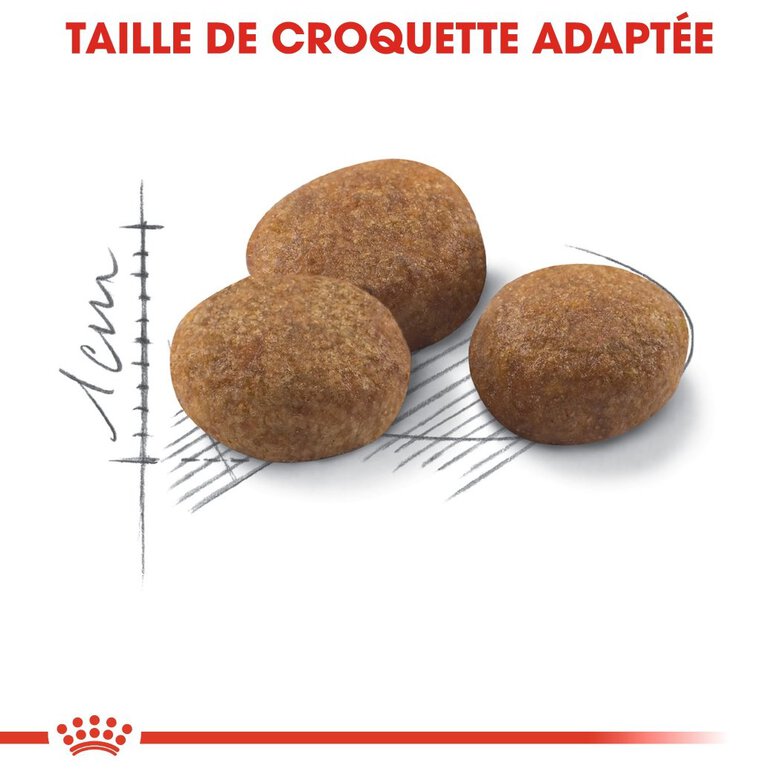 Royal Canin - Croquettes Sterilised 7+ pour Chat Senior - 400g Image numéro 5 Royal Canin - Croquettes Sterilised 7+ pour Chat Senior - 400g Image numéro 5