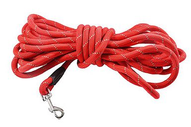 Bobby - Longe Walk Rouge pour Chiens