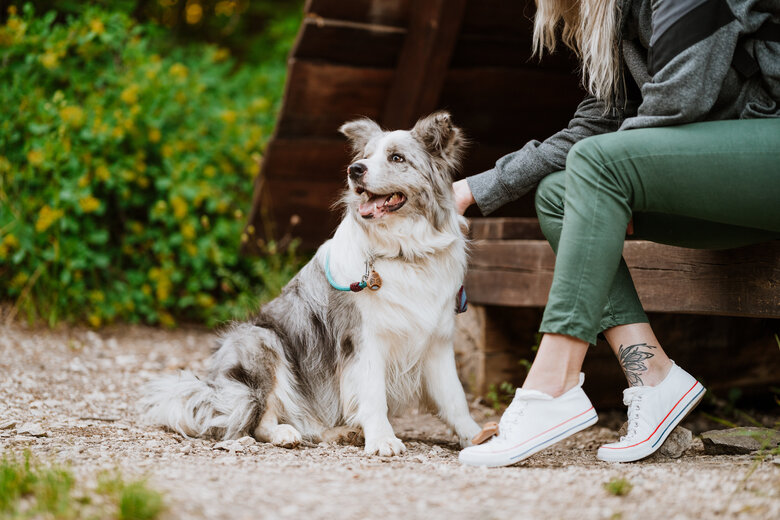 Tickless - Médaillon Ecopet Antiparasitaire Ultrason pour Chiens et Chats - 3,8cm Image numéro 5 Tickless - Médaillon Ecopet Antiparasitaire Ultrason pour Chiens et Chats - 3,8cm Image numéro 5