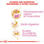 Royal Canin - Croquettes British Shorthair Kitten pour Chatons - 2Kg Indicateur image numéro 3