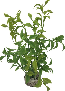 Labeo - Plante Décorative Herbe Vert clair pour Aquarium
