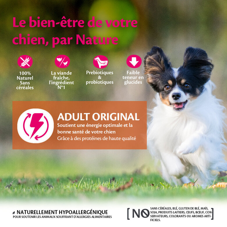Wellness CORE - Croquettes Original Dinde et Poulet pour Chien Petite Race - 1,5Kg Image numéro 2 Wellness CORE - Croquettes Original Dinde et Poulet pour Chien Petite Race - 1,5Kg Image numéro 2
