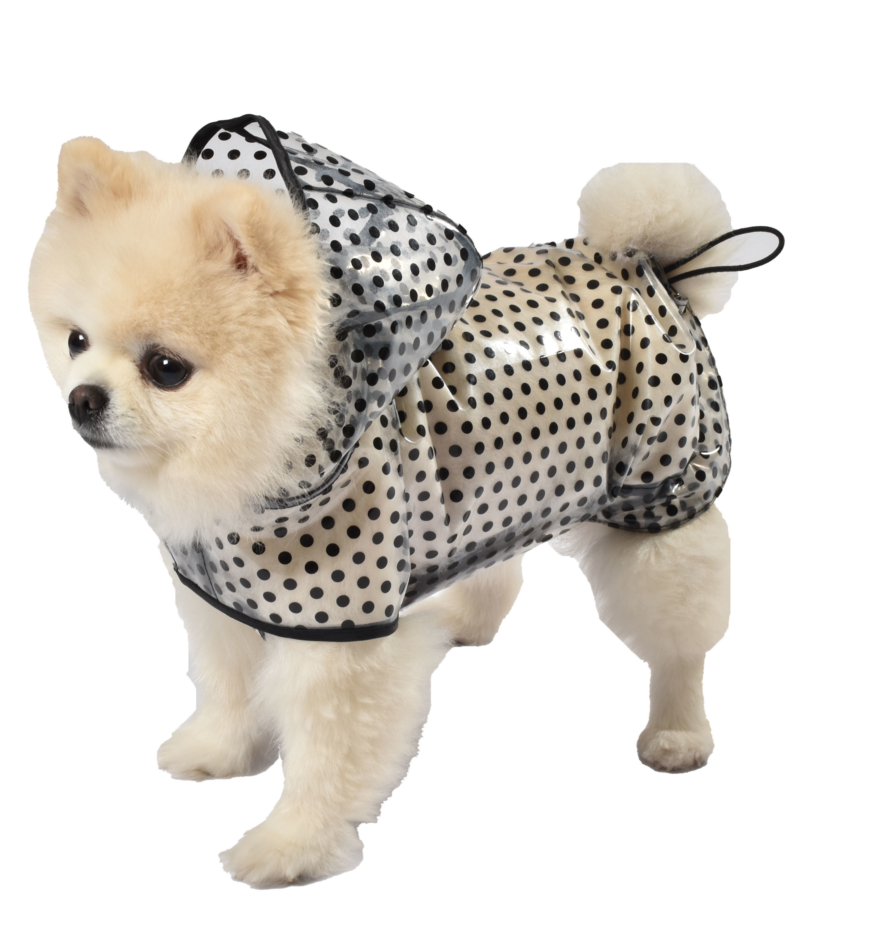 Bobby Manteau Cire Noir Transparent 19 pour Chiens XXS Animalis