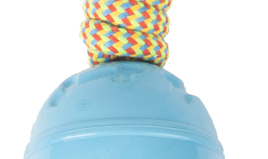 Tootoy! - Corde Balle &agrave; R&eacute;compense Image num&eacute;ro 2