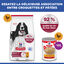 Hill's Science Plan - Croquettes Adult  Medium Au Poulet pour Chiens -  2,5kg Indicateur image num&eacute;ro 7