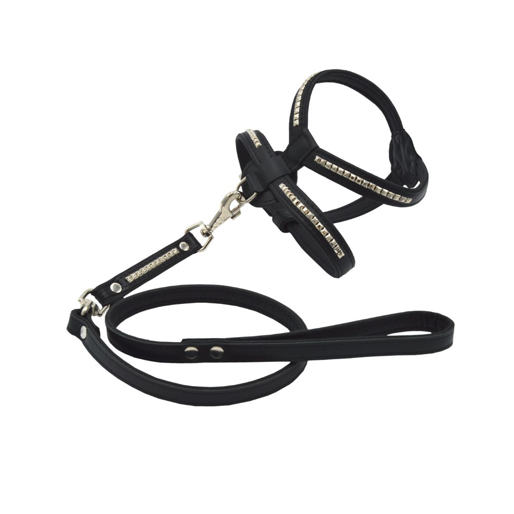 Comme Un Roi - Harnais Bulldog Cuir So Chic Noir pour Chien - XXL Image num&eacute;ro 2