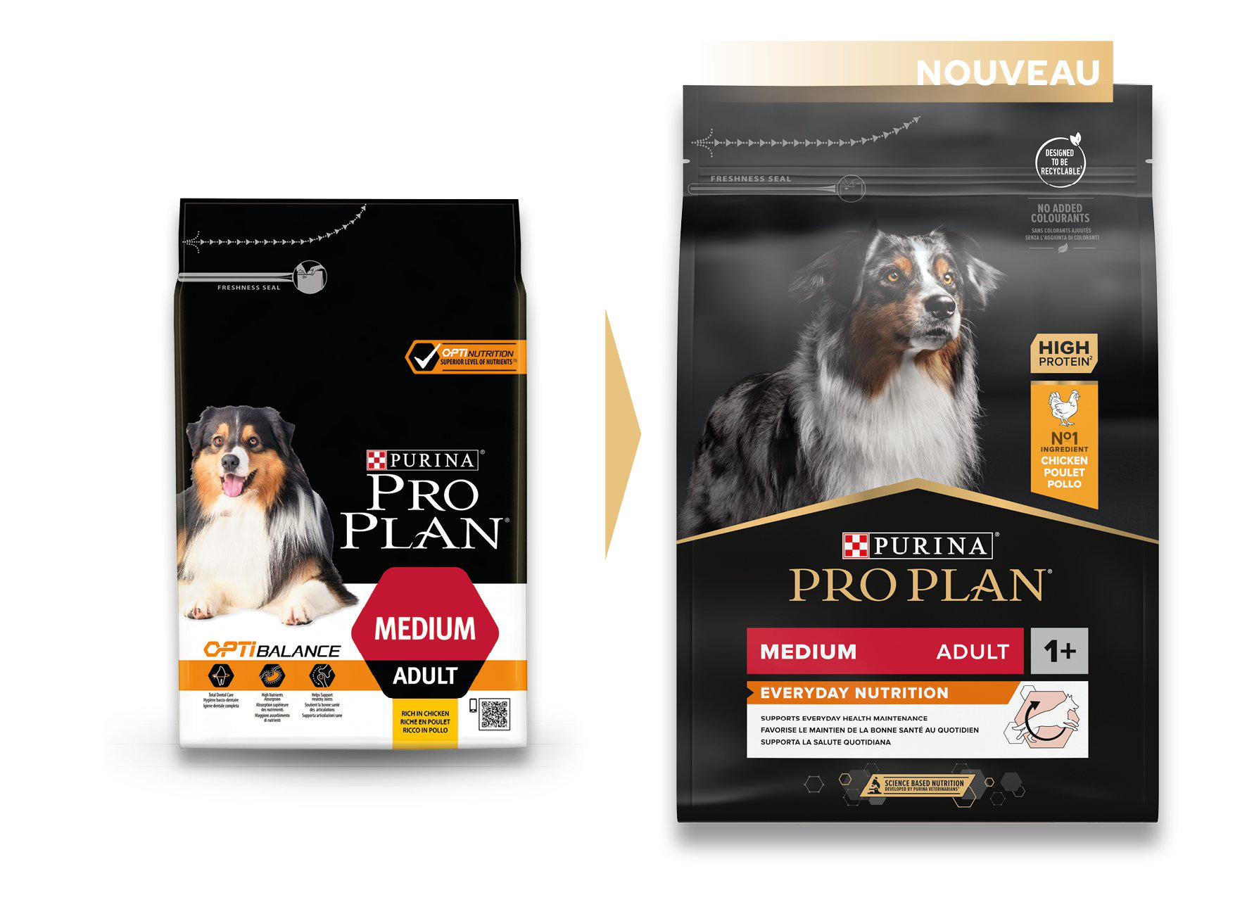 Pro Plan - Croquettes Medium Adult Poulet pour Chien - 3Kg Image num&eacute;ro 6
