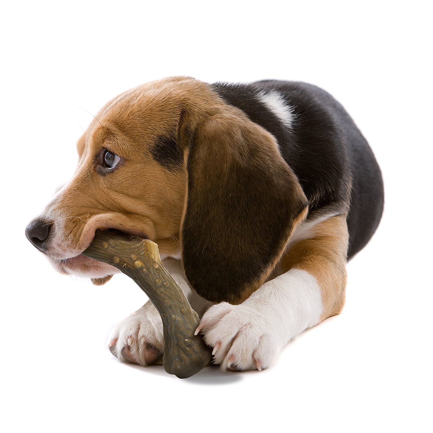 Nylabone - Jouet &agrave; M&acirc;cher Venison Extreme Antler Chew - L Image num&eacute;ro 5