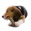 Nylabone - Jouet &agrave; M&acirc;cher Venison Extreme Antler Chew - L Indicateur image num&eacute;ro 5