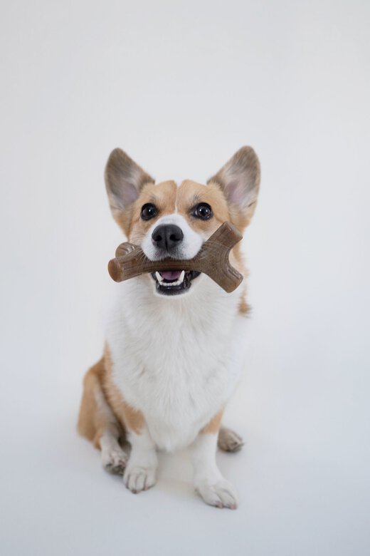 Benebone - Jouet Os A Macher Maplesticks Bois - S Image numéro 4 Benebone - Jouet Os A Macher Maplesticks Bois - S Image numéro 4