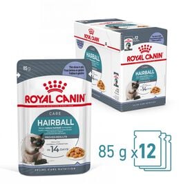 ROYAL CANIN - SACHET FRAICHEUR HAIRBALL EN GELEE CHAT ADULTE REDUCTION DES BOULES DE POILS - 12x85g