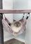 Trixie - Arbre à chat XXL Ramon Cappuccino pour Chat - 133cm Indicateur image numéro 12