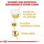 Royal Canin - Croquettes Golden Retriever pour Chien Adulte - 12Kg Indicateur image numéro 5