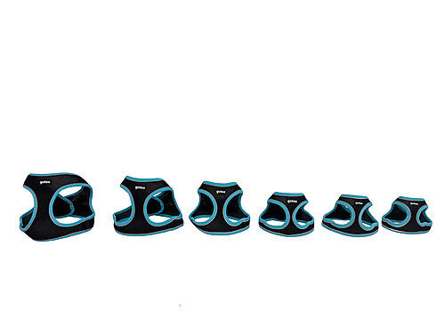 Gotoo - Harnais en Mesh Turquoise pour Chien - XS Image num&eacute;ro 6