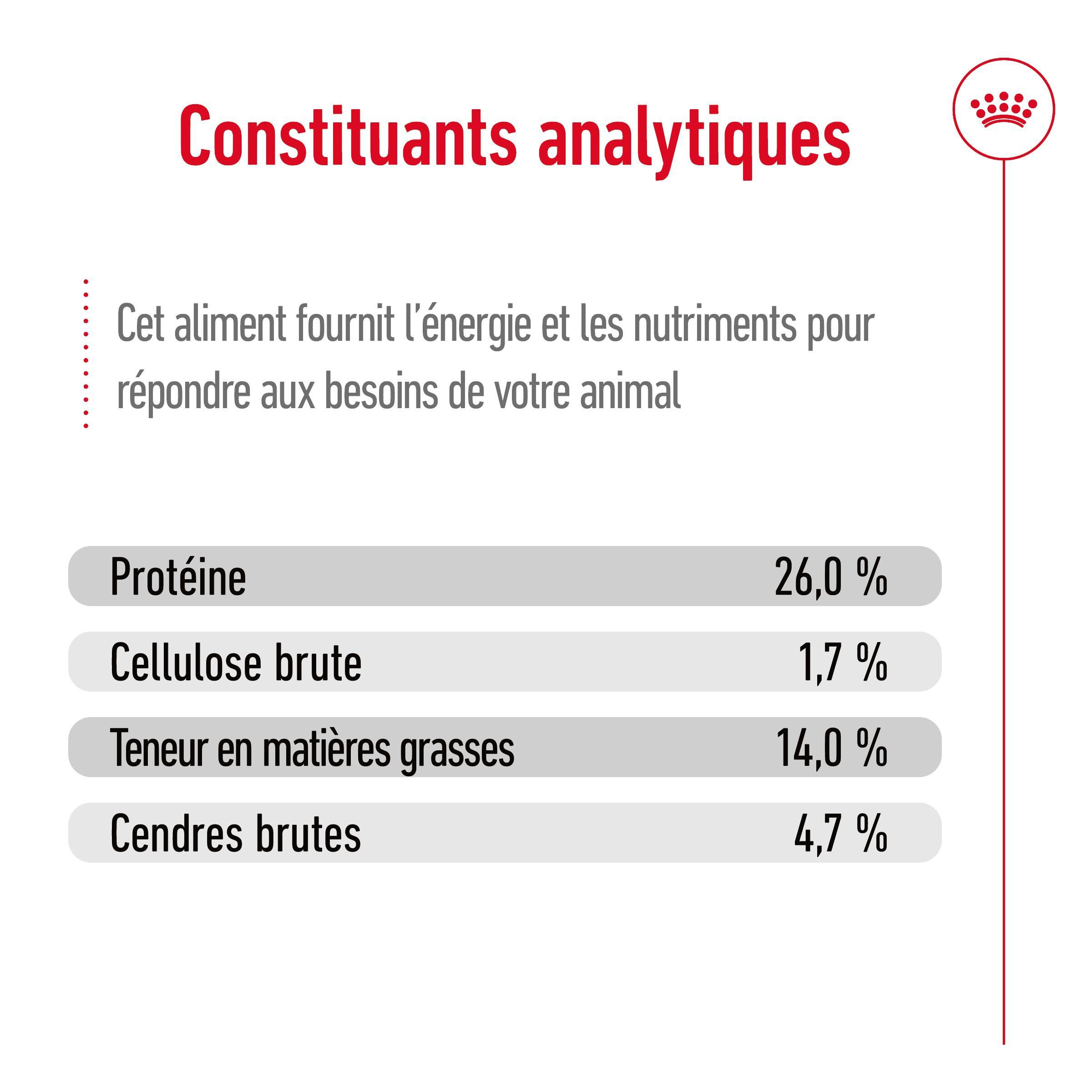 Royal Canin - Croquettes Medium Ageing 10+ pour Chien Senior - 3Kg Image num&eacute;ro 10