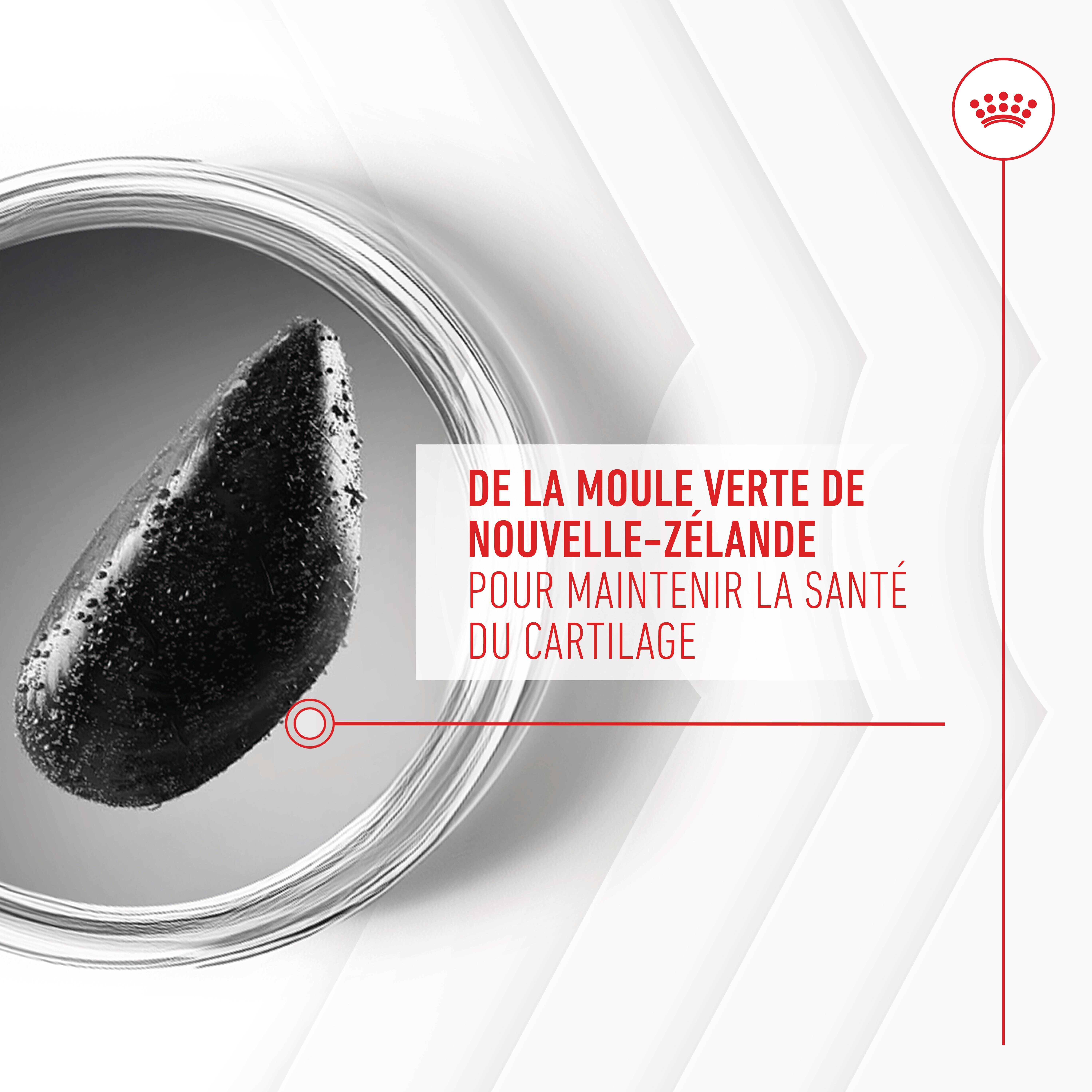 Royal Canin - Aliment compl&eacute;mentaire Adult Joint & Agieing Chews pour Chiens - 240g Image num&eacute;ro 6