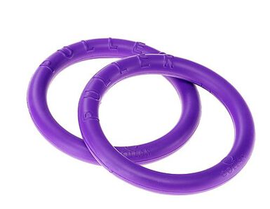Ferplast - Jouet Puller Micro pour Chiot et Petit Chien - 12cm