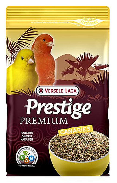Versele Laga - Mélange de Graines Prestige Premium pour canaris - 800g image number null