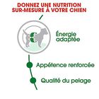 Royal Canin - Croquettes Mini Adult pour Chien image number null