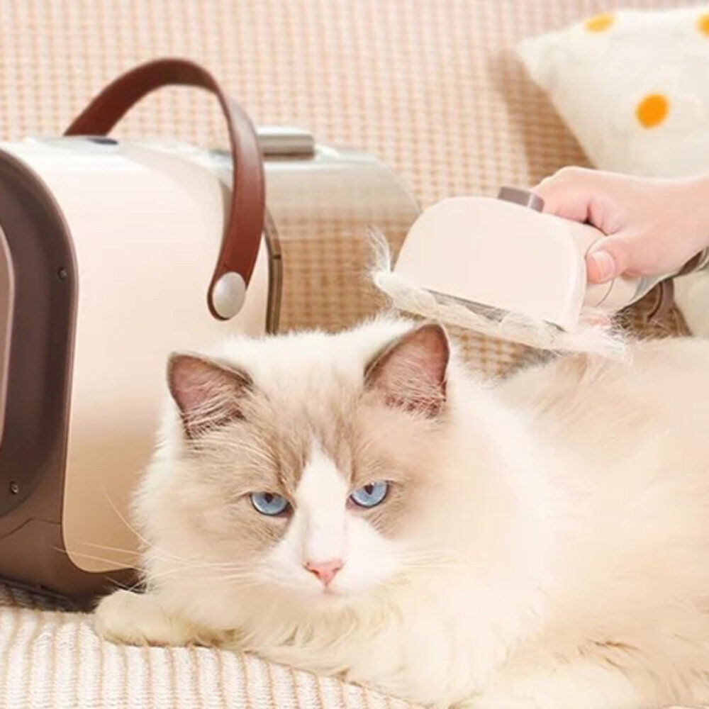 EZIclean - Station de Toilettage Animal Groomy 6 Image num&eacute;ro 3