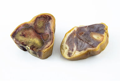 Serrano - Friandise Jarret de Jambon pour Chien - x2