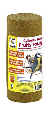 Natures Markets - Cylindre Graisse Végétale aux Fruits Rouges pour ...