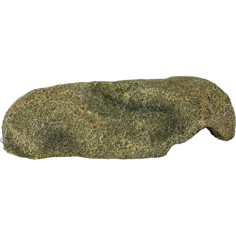 Animalis - Kit Gecko - 50cm Image num&eacute;ro 6