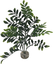 Labeo - Plante Décorative Arbre Longues Feuilles pour Aquarium Indicateur image numéro 2