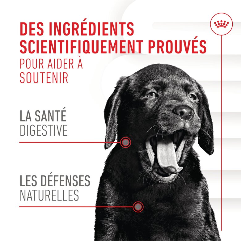 Royal Canin - Aliment Complémentaire Immunity & Digestion pour Chiots - 100g Image numéro 6 Royal Canin - Aliment Complémentaire Immunity & Digestion pour Chiots - 100g Image numéro 6