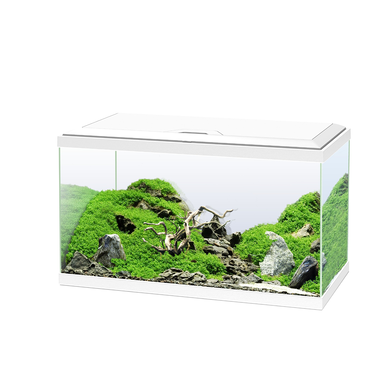 Ciano - Aquarium 60 Blanc Equipé - 58L
