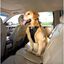 Kurgo - Harnais Transport et Marche Sécurité Tru-Fit pour Chien - XL Indicateur image numéro 3