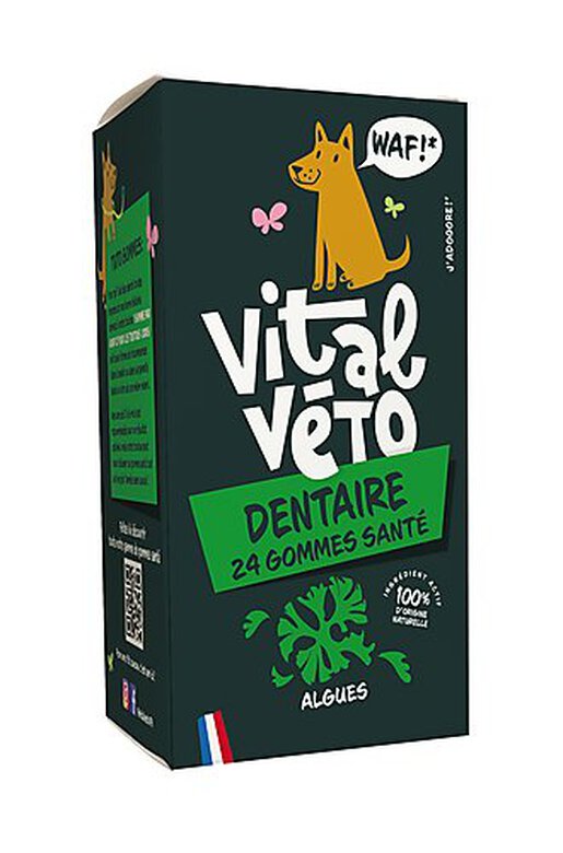 Vitalvéto - Gommes Santé Dentaire pour Chien - 24g image number null