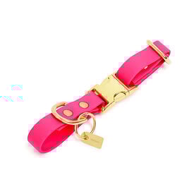 Pop Dog - Collier Glouton Rose pour Chien