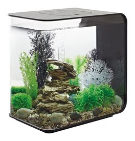 biOrb - Aquarium Flow - 30 mcr noir