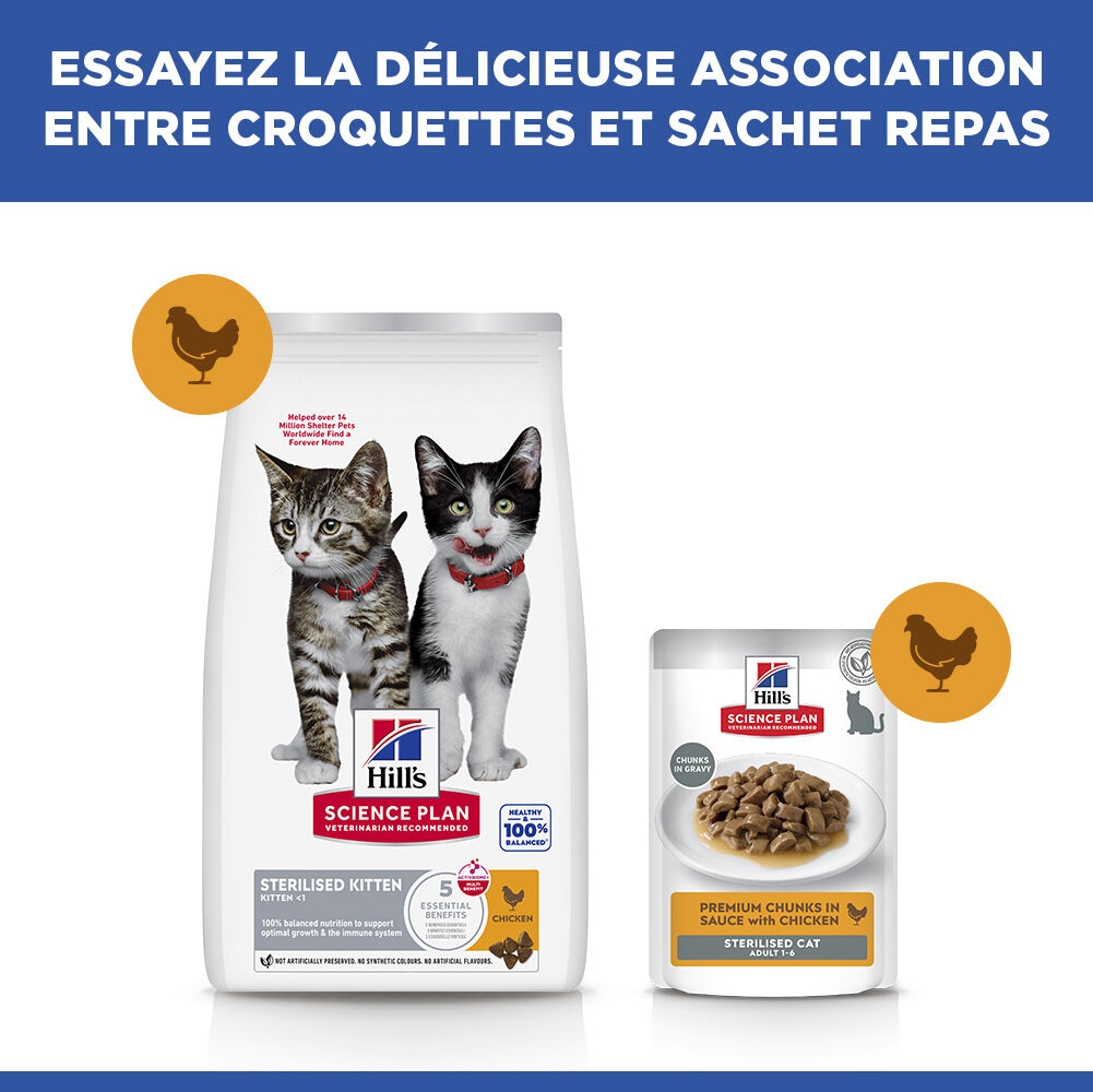 Hill's Science Plan - Kitten Sterilised Cat Croquettes Pour Chaton St&eacute;rilis&eacute; Au Poulet  - 300g Image num&eacute;ro 7
