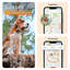 Weenect - Traceur GPS L/XL Edition 2023 pour Chiens - Noir Indicateur image numéro 4