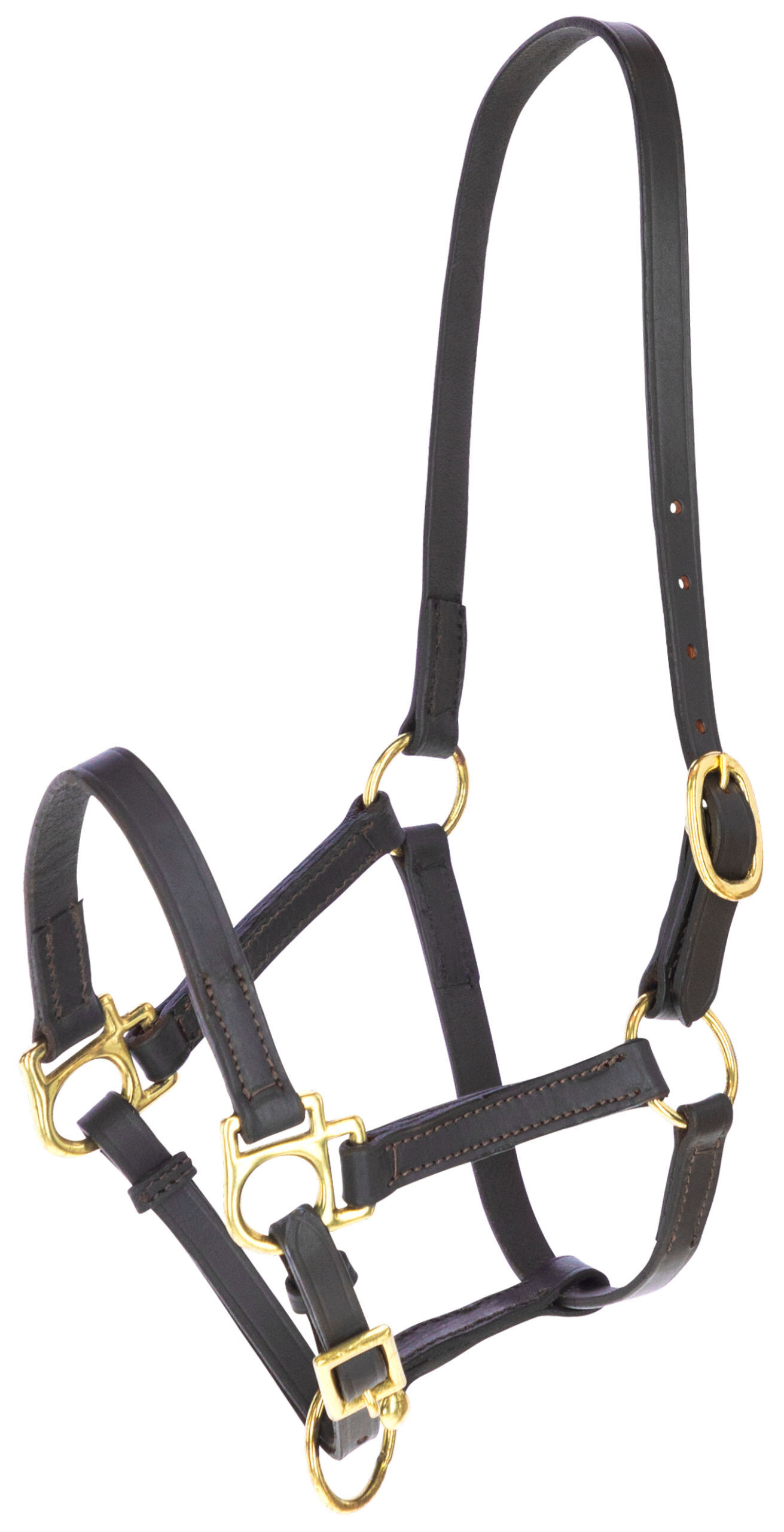 Covalliero - Licol R&eacute;glable Eco, Cuir Marron - Xfull XL Image num&eacute;ro 1