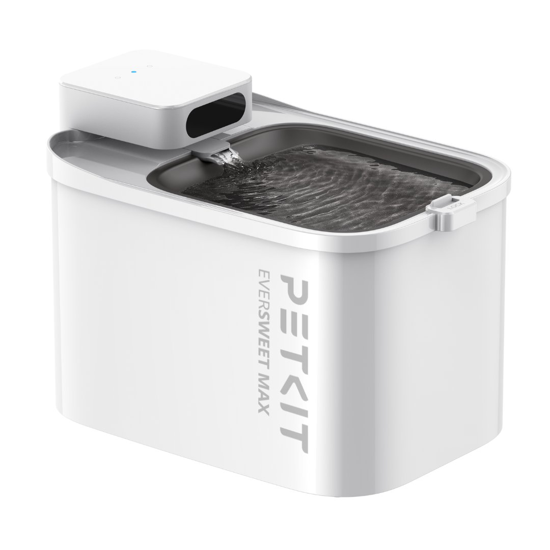 Petkit - Fontaine &agrave; Eau EVERSWEET MAX Connect&eacute;e pour Chiens et Chats - 3L Image num&eacute;ro 1