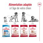 Royal Canin - Croquettes Medium Adult - 15Kg image number null