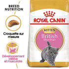 Royal Canin - Croquettes British Shorthair Kitten pour Chatons - 2Kg image number null