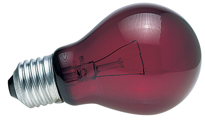 Zoomed - Ampoule chauffante infrarouge nocturne pour terrarium - 40W Image numéro 2 Zoomed - Ampoule chauffante infrarouge nocturne pour terrarium - 40W Image numéro 2