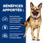 Hill's - Croquettes Prescription Diet Gastro Intestinal Biome pour Chiens - 10Kg Indicateur image numéro 3
