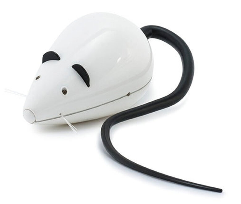 PetSafe - Jouet Souris Rolorat pour Chat - 15cm Image numéro 1 PetSafe - Jouet Souris Rolorat pour Chat - 15cm Image numéro 1