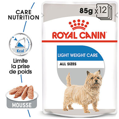 Royal Canin - Sachets Ultra Light en Mousse pour Chien - 12X85g