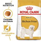 Royal Canin - Croquettes Bichon Frisé pour Chien Adulte - 1,5Kg image number null