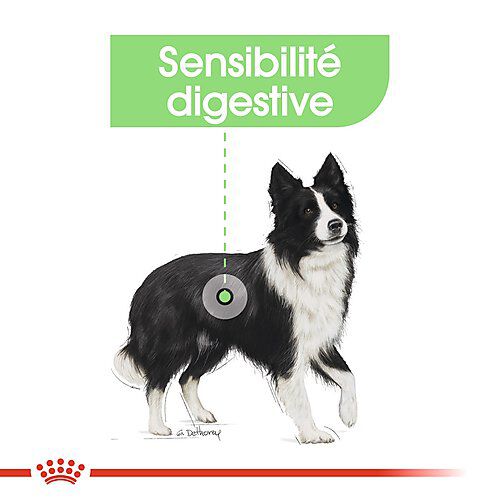 Royal Canin - Croquettes Digestive Care pour Chien - 3Kg Image num&eacute;ro 3