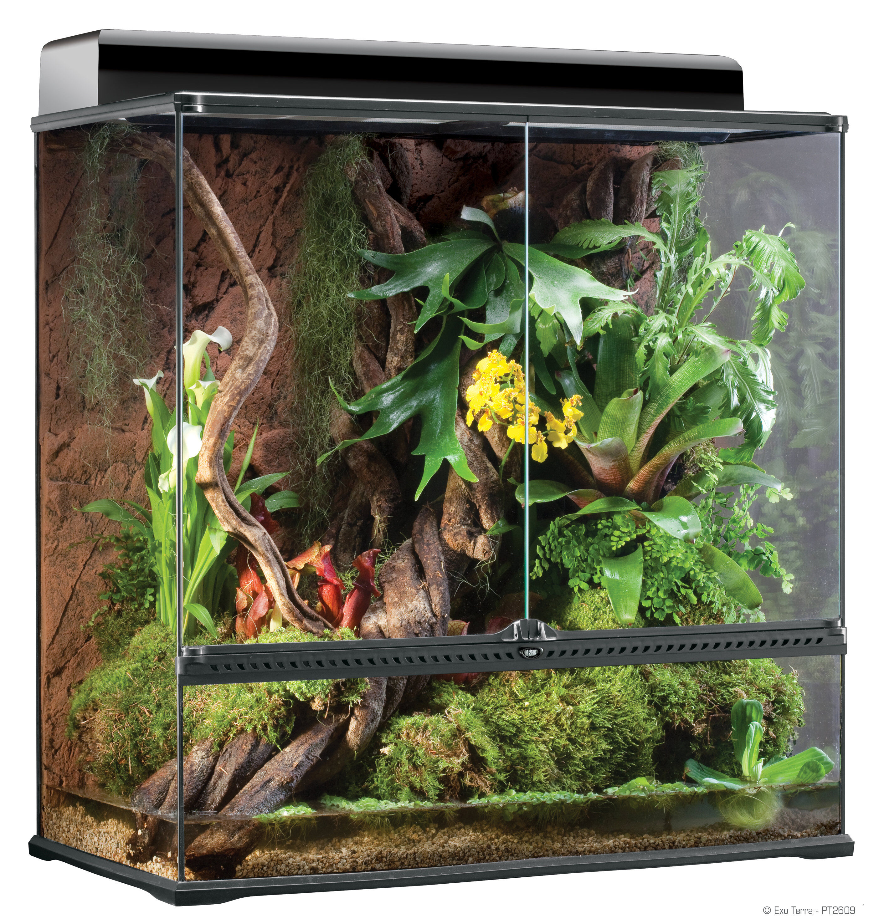 Exo Terra - Terrarium en Verre pour Reptile - 90x45x90cm Image num&eacute;ro 1